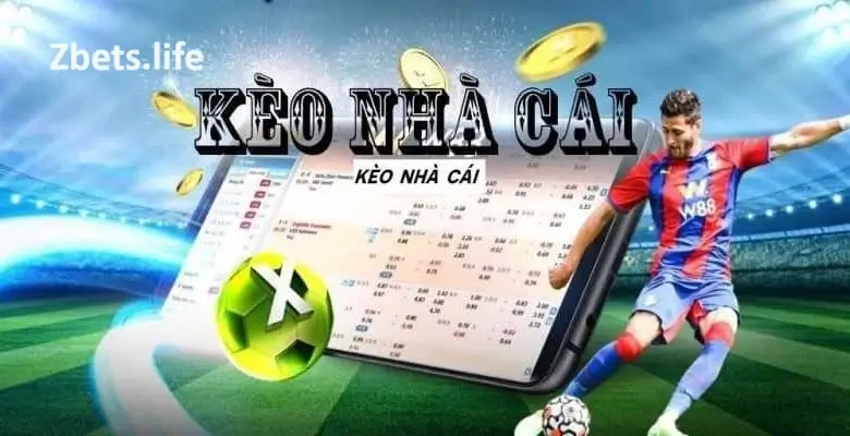 Tại Sao Bạn Nên Tham Gia Bóng Đá Kèo Nhà Cái Tại Nhà Cái Zbet