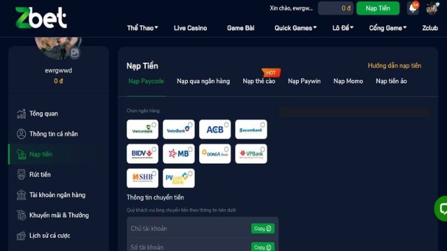 Cách khắc phục lỗi không nạp tiền được tại Zbet được trình bày rõ ràng